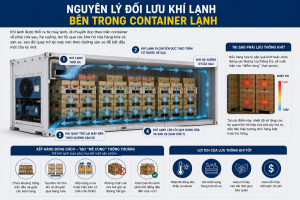 CÁCH XẾP HÀNG VÀO CONTAINER LẠNH ĐỂ KHÍ ĐỐI LƯU TỐT NHẤT: BÍ QUYẾT BẢO QUẢN TRÁI CÂY XUẤT KHẨU
