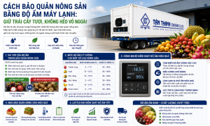 CÁCH BẢO QUẢN TRÁI CÂY BẰNG ĐỘ ẨM MÁY LẠNH DAIKIN: GIỮ TRÁI CÂY TƯƠI, KHÔNG HÉO VỎ NGOÀI
