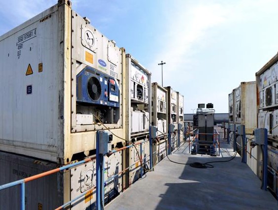 QUY TRÌNH TIỀN LÀM LẠNH CONTAINER LẠNH PRE-COOLING ĐẠT CHUẨN TRƯỚC KHI ĐÓNG HÀNG NÔNG SẢN