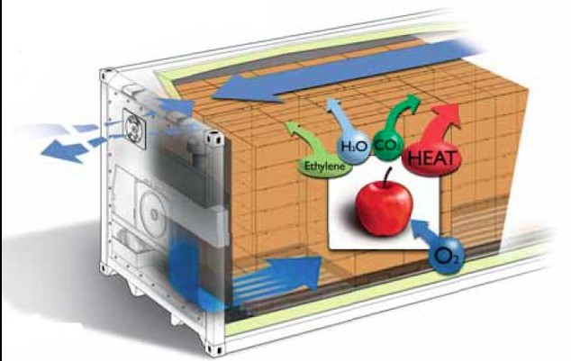 ỨNG DỤNG CÔNG NGHỆ KIỂM SOÁT KHÍ QUYỂN CONTAINER LẠNH BẢO QUẢN TRÁI CẦN ĐƯỜNG DÀI