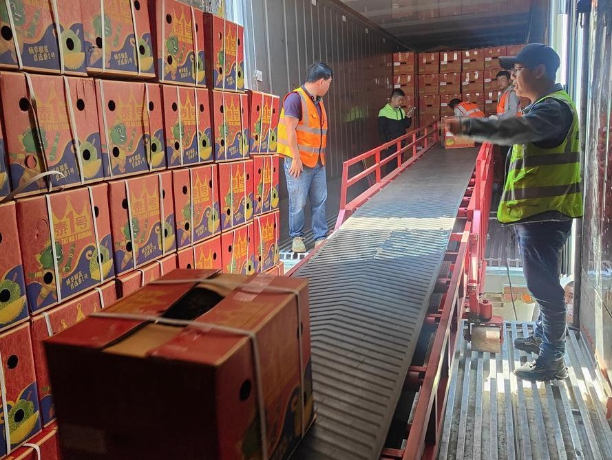 PHÂN TÍCH DÒNG KHÍ ĐỐI LƯU VÀ ÁP SUẤT VI KHÍ HẬU BÊN TRONG CONTAINER LẠNH CHỞ SẦU RIÊNG