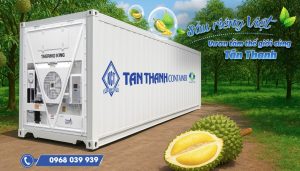 PHÂN TÍCH DÒNG KHÍ ĐỐI LƯU VÀ ÁP SUẤT VI KHÍ HẬU BÊN TRONG CONTAINER LẠNH CHỞ SẦU RIÊNG