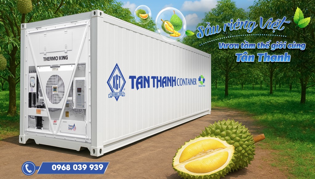 PHÂN TÍCH DÒNG KHÍ ĐỐI LƯU VÀ ÁP SUẤT VI KHÍ HẬU BÊN TRONG CONTAINER LẠNH CHỞ SẦU RIÊNG