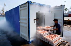 THIỆT HẠI HÀNG TỶ ĐỒNG DO HIỆN TƯỢNG SỐC NHIỆT THỦY HẢI SẢN KHI DÙNG VỎ CONTAINER LẠNH CHẮP VÁ