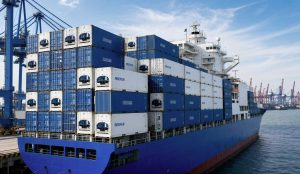 Tiêu chuẩn quốc tế CSC Plate trên container lạnh và ý nghĩa pháp lý